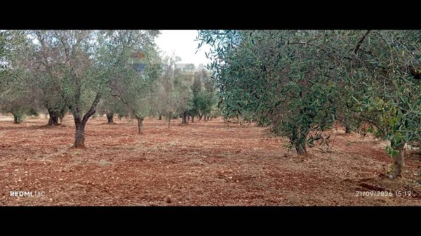 casa indipendente in vendita a Carovigno in zona Serranova