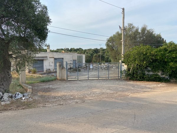 esavano in vendita a Ceglie Messapica