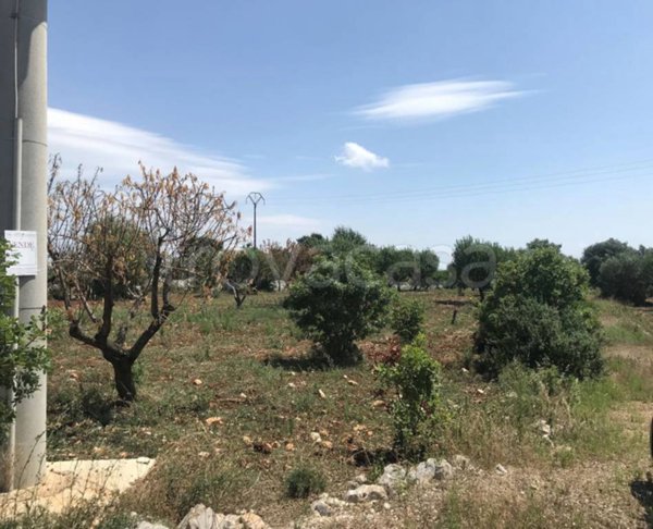 appartamento in vendita a Ceglie Messapica