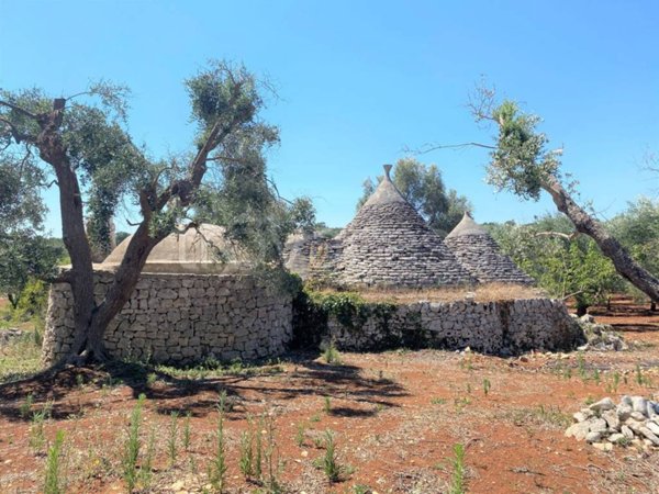 appartamento in vendita a Ceglie Messapica