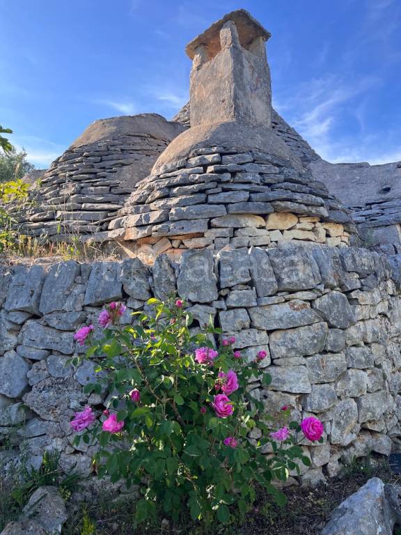 appartamento in vendita a Ceglie Messapica