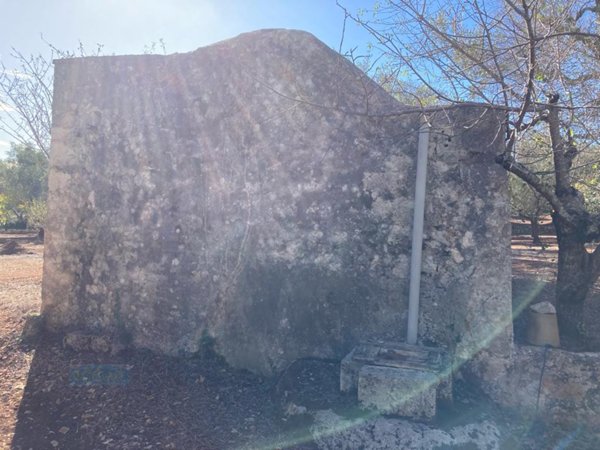 terreno agricolo in vendita a Ceglie Messapica