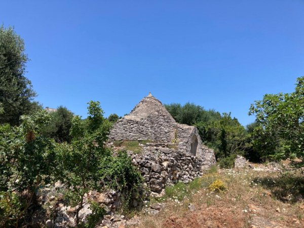 terreno agricolo in vendita a Ceglie Messapica