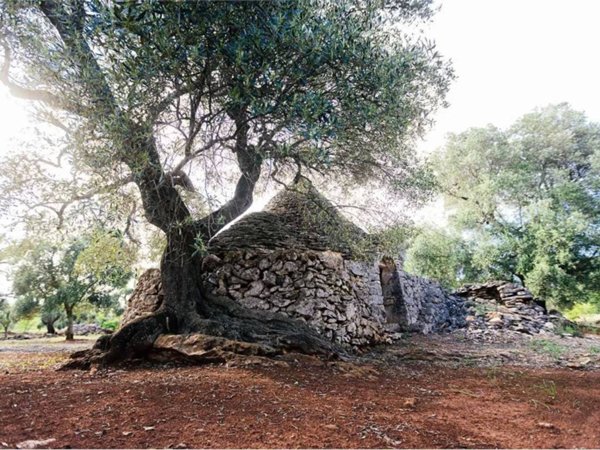 casa indipendente in vendita a Ceglie Messapica
