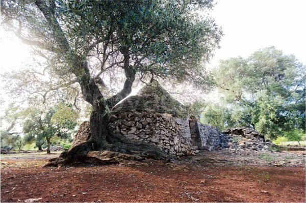 appartamento in vendita a Ceglie Messapica