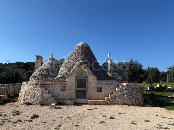 terreno agricolo in vendita a Ceglie Messapica
