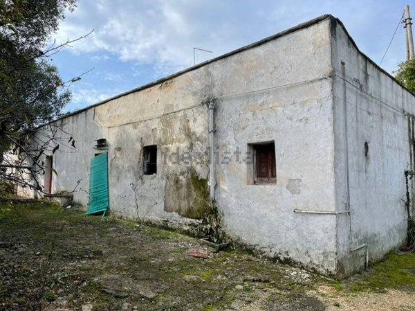 esavano in vendita a Ceglie Messapica