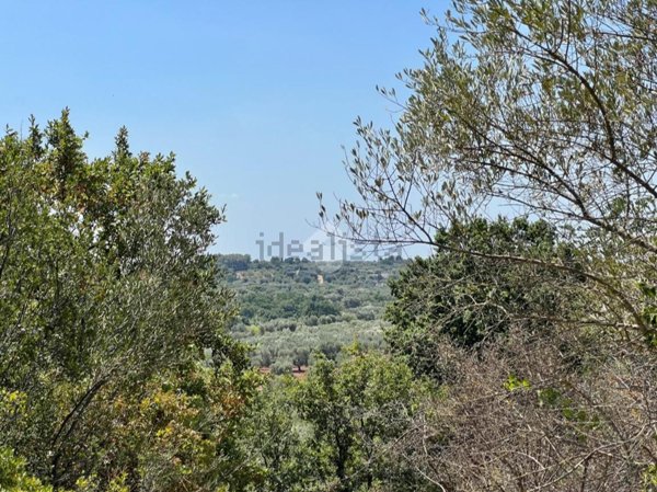appartamento in vendita a Ceglie Messapica