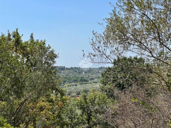 appartamento in vendita a Ceglie Messapica