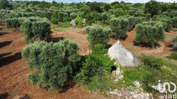 negozio in vendita a Ceglie Messapica