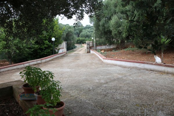 casa indipendente in vendita a Ceglie Messapica