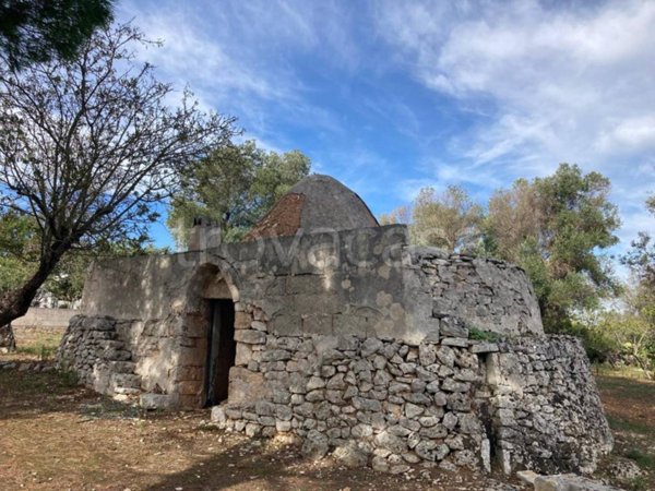 terreno agricolo in vendita a Ceglie Messapica