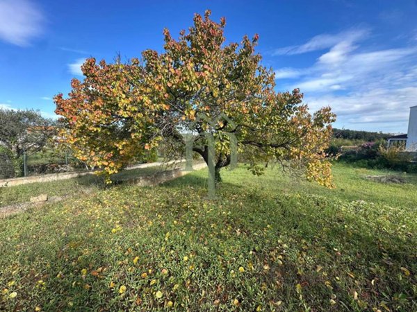 casa indipendente in vendita a Ceglie Messapica
