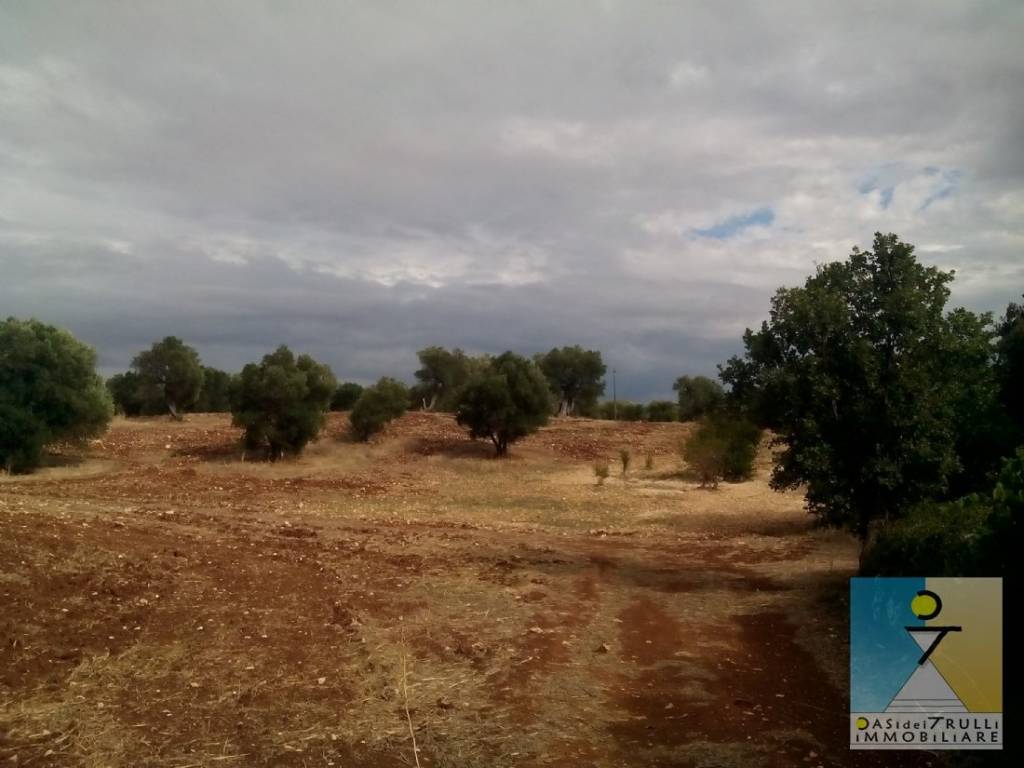 terreno agricolo in vendita a Ceglie Messapica