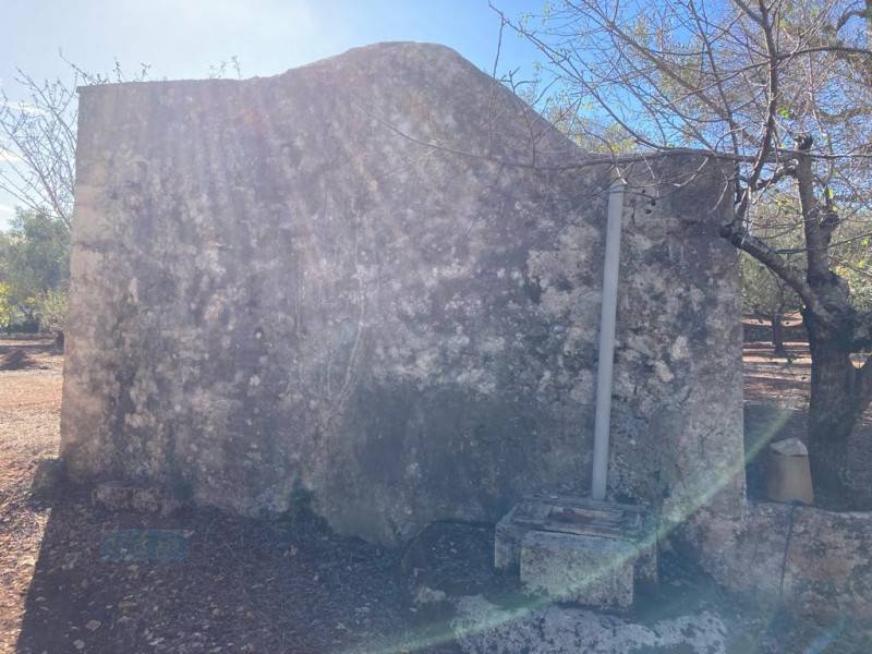 terreno agricolo in vendita a Ceglie Messapica