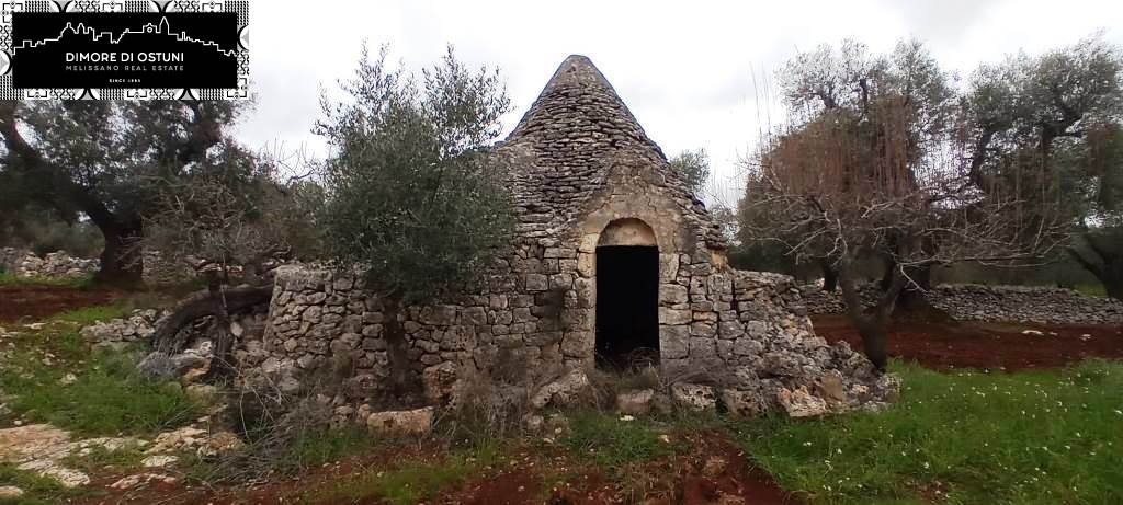 casa indipendente in vendita a Ceglie Messapica