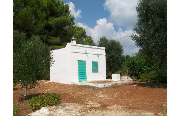terreno agricolo in vendita a Ceglie Messapica