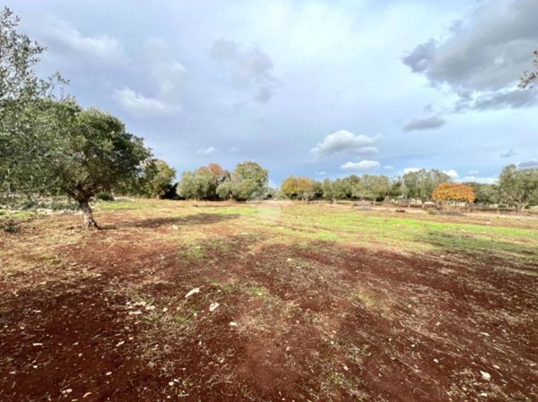 terreno agricolo in vendita a Ceglie Messapica