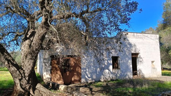casa indipendente in vendita a Ceglie Messapica