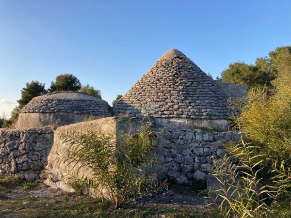 terreno agricolo in vendita a Ceglie Messapica