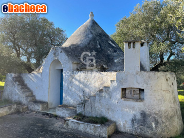 appartamento in vendita a Ceglie Messapica