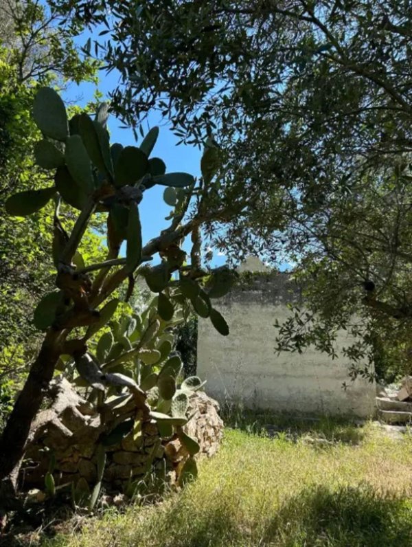 appartamento in vendita a Ceglie Messapica