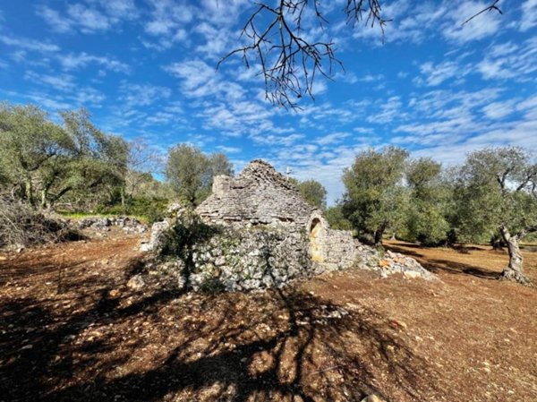 casa indipendente in vendita a Ceglie Messapica
