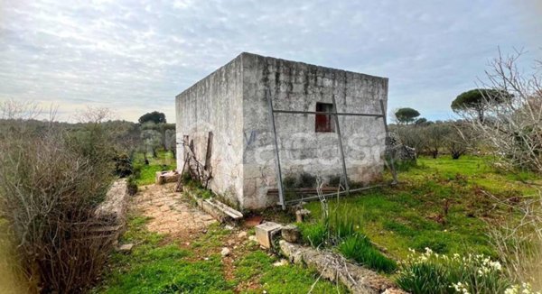 casa indipendente in vendita a Ceglie Messapica