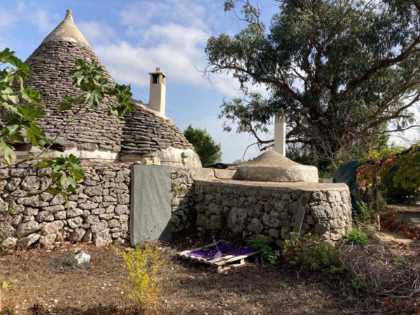 terreno agricolo in vendita a Ceglie Messapica
