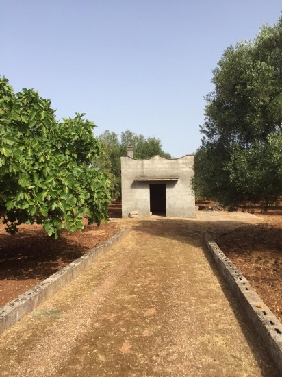 terreno agricolo in vendita a Ceglie Messapica