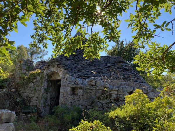 terreno agricolo in vendita a Ceglie Messapica