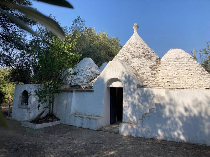 terreno agricolo in vendita a Ceglie Messapica