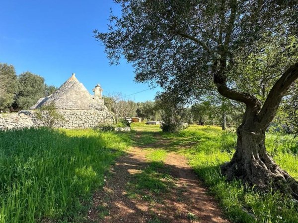 casa indipendente in vendita a Ceglie Messapica