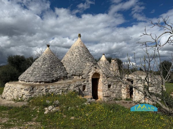 terreno agricolo in vendita a Ceglie Messapica