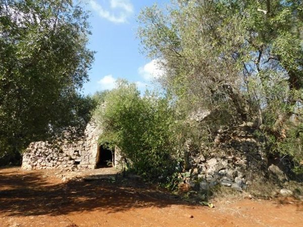 quadrivano in vendita a Ceglie Messapica