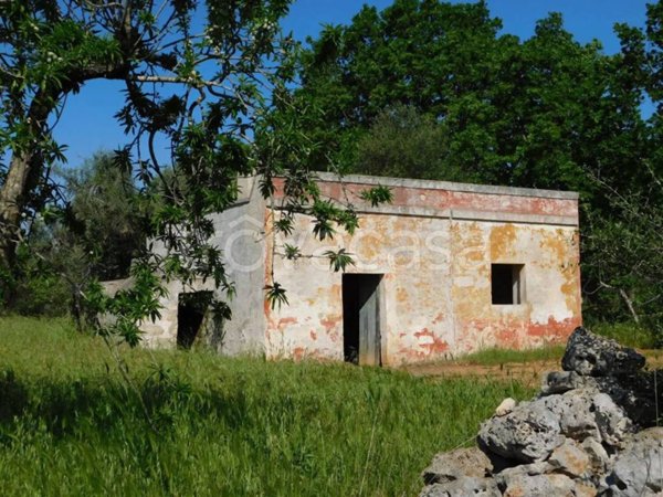 casa indipendente in vendita a Ceglie Messapica