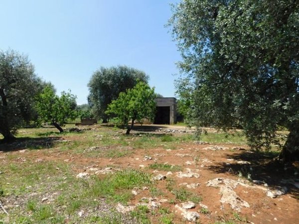 monolocale in vendita a Ceglie Messapica