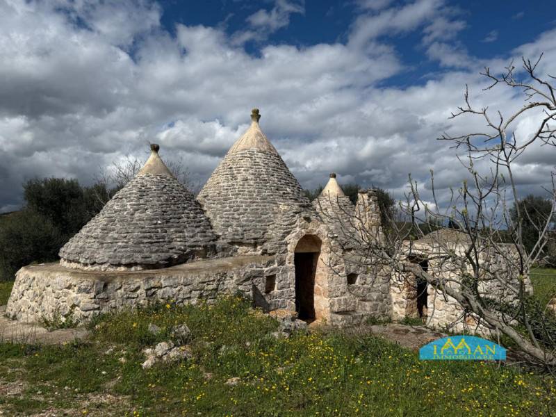terreno agricolo in vendita a Ceglie Messapica