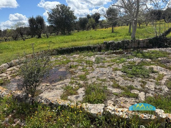appartamento in vendita a Ceglie Messapica