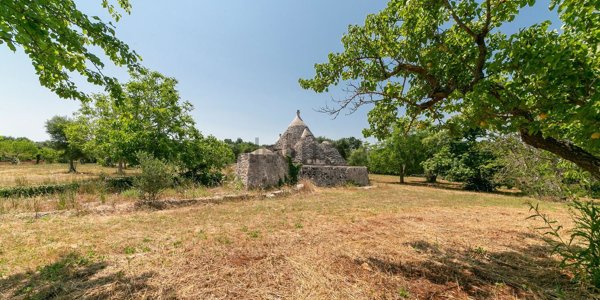 appartamento in vendita a Ceglie Messapica