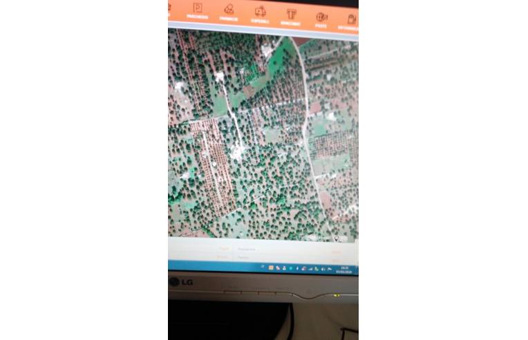 terreno agricolo in vendita a Ceglie Messapica