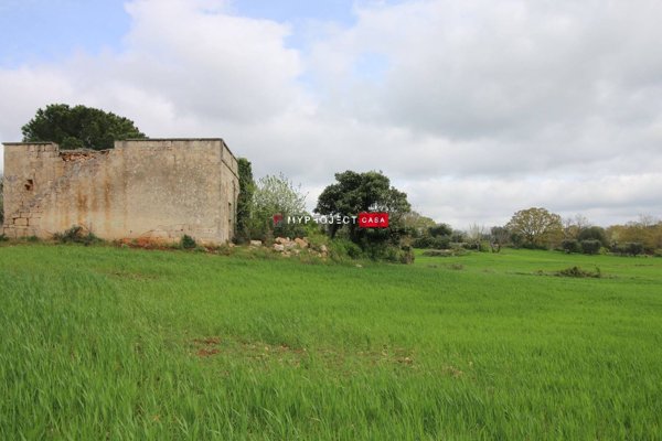 esavano in vendita a Ceglie Messapica