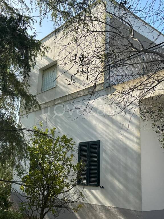 casa indipendente in vendita a Ceglie Messapica