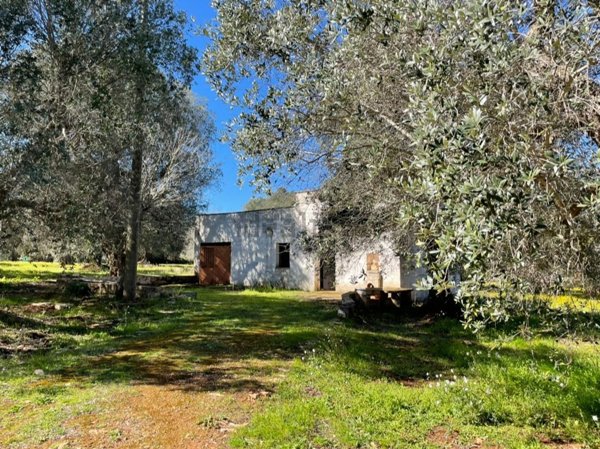 casale in vendita a Ceglie Messapica