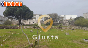 negozio in vendita a Ceglie Messapica