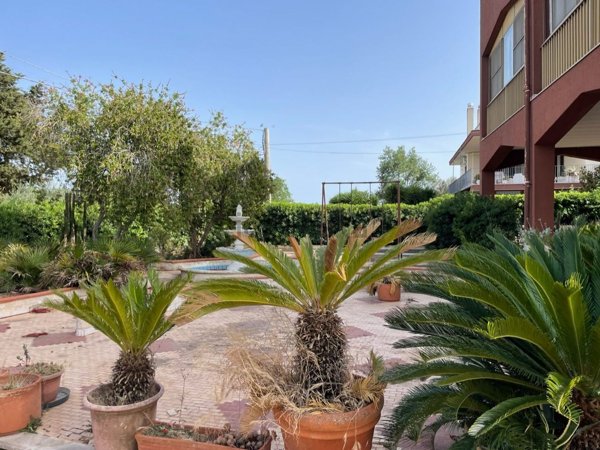 casa indipendente in vendita a Ceglie Messapica