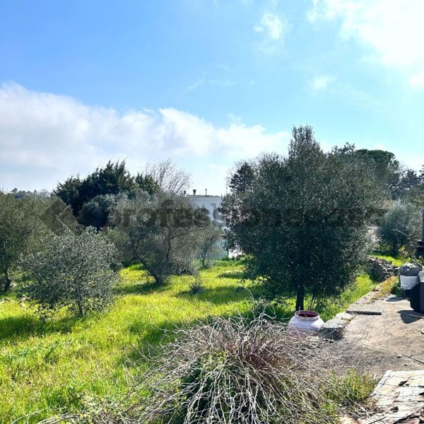 casa indipendente in vendita a Ceglie Messapica