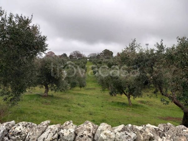 terreno agricolo in vendita a Ceglie Messapica