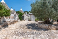casa indipendente in vendita a Ceglie Messapica