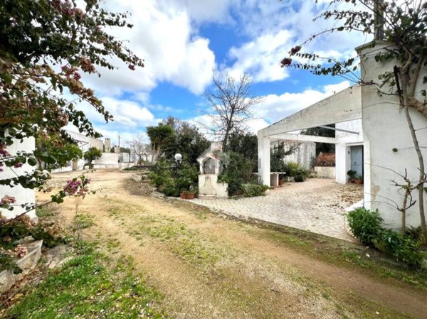 esavano in vendita a Ceglie Messapica